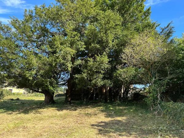 Casa independiente en Lg Rozadas, 10