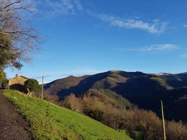 Casa de pueblo en Mafalla s/n