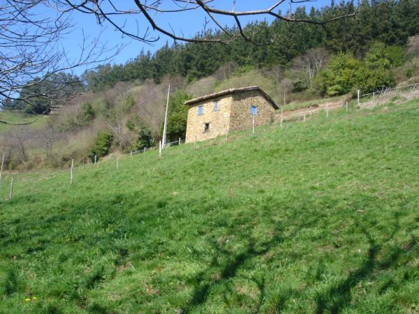 Casa de pueblo en Mafalla s/n