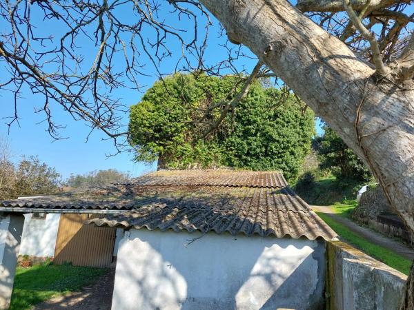 Finca rústica en Ensenada de La Linera s/n