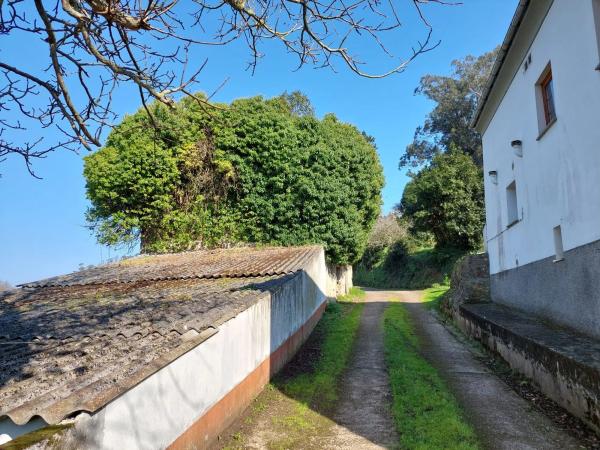 Finca rústica en Ensenada de La Linera s/n