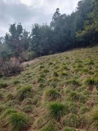 Casa de pueblo en Ferrera de los Gavitos s/n