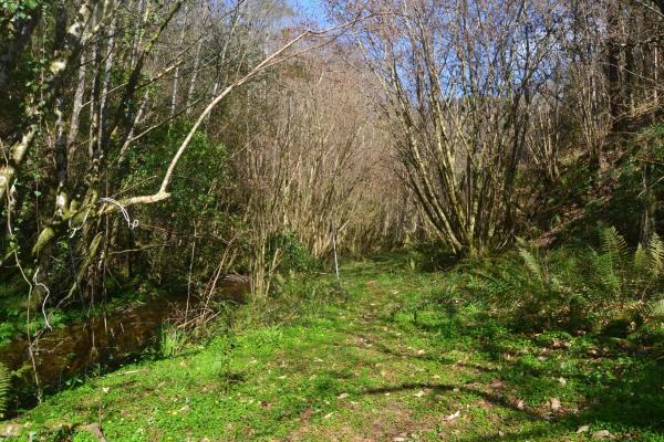 Casa de pueblo en Carretera, 21