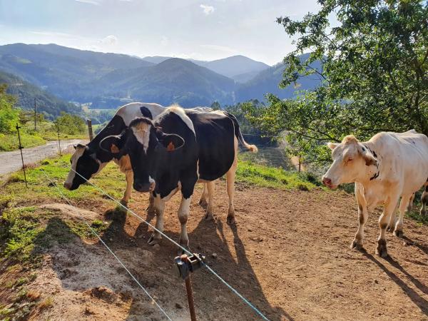 Casa rural en camino de la rinconada, 1