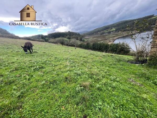 Casa independiente en general