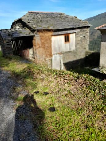 Casa independiente en carretera As-12 s/n