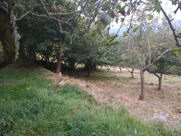 Casa rural en Villar De Bullaso, 10