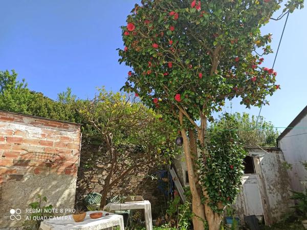 Casa independiente en calle Campo, 3