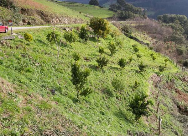 Casa de pueblo en Lugar Aldea Cedemonio, 1
