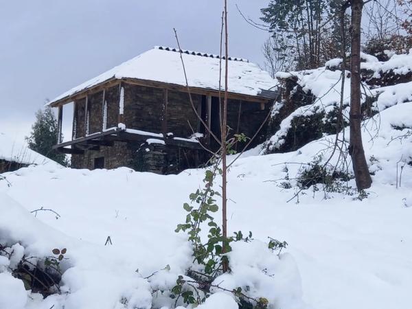 Finca rústica en Ibias, 29 CoordenadasUTMHusoETRS