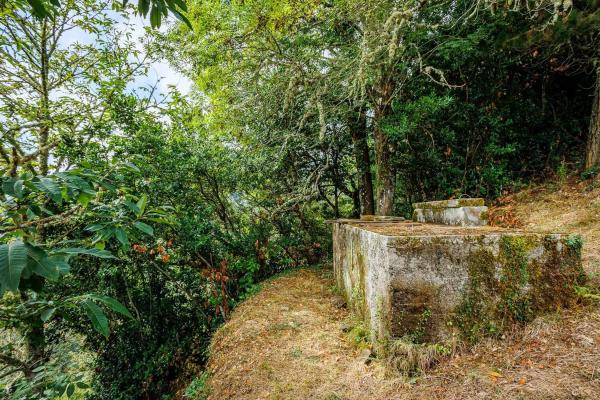 Cortijo en Aldea la Muria