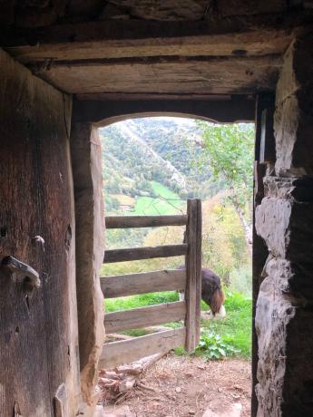 Finca rústica en Soto de Agues s/n