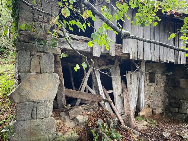 Finca rústica en camino El Biforcal s/n