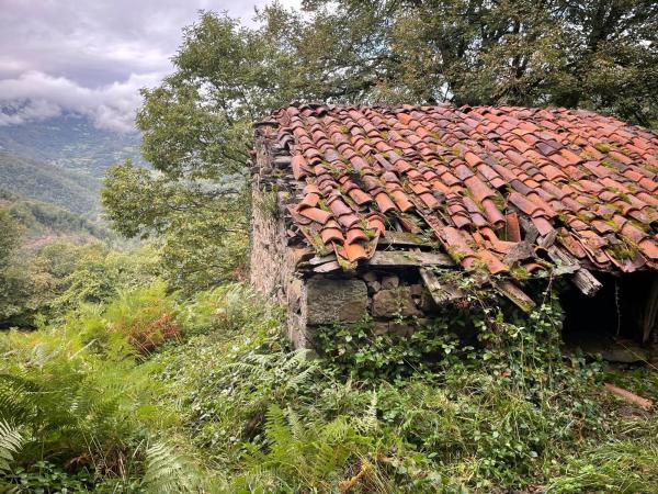 Finca rústica en camino El Biforcal s/n
