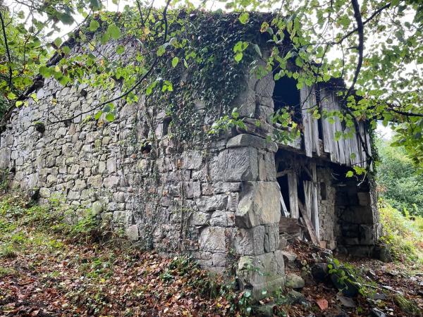 Finca rústica en camino El Biforcal s/n