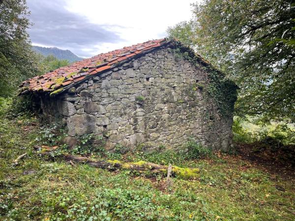 Finca rústica en camino El Biforcal s/n