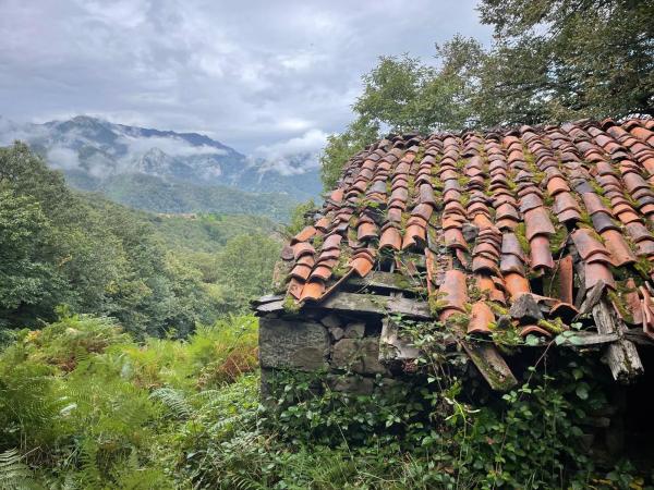 Finca rústica en camino El Biforcal s/n
