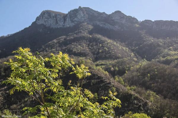 Casa rural en Veneros, 35