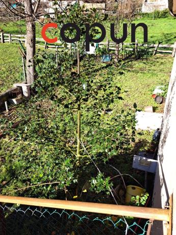 Casa independiente en Barrio, 1