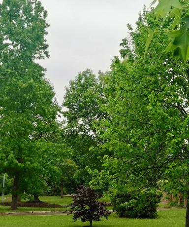 Casa rural en Orlé s/n