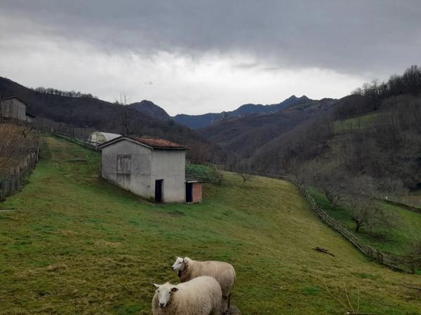 Casa independiente en Lv-5