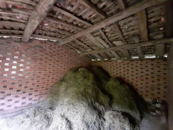 Casa independiente en Lv-5