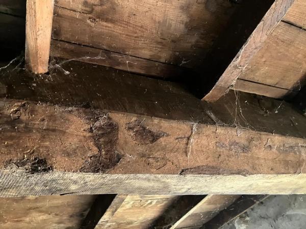 Casa de pueblo en Abantru, 60