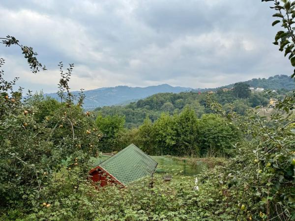 Casa independiente en calle La Xarrota, 1