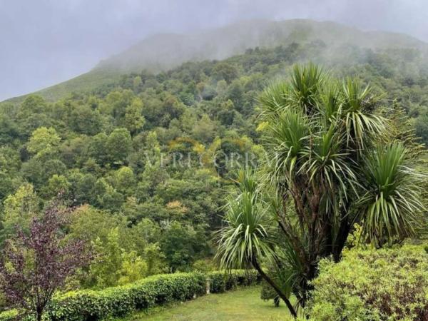Casa independiente en Lugar Tanes