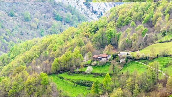 Casa independiente en Vía