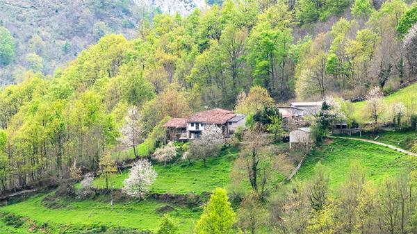 Casa independiente en Vía