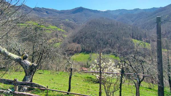 Casa independiente en Vía
