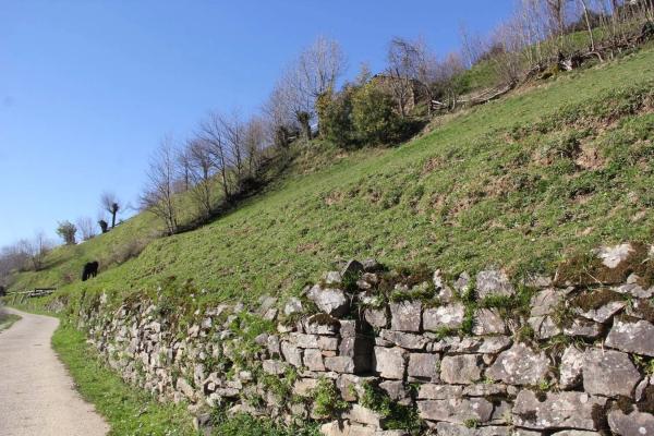 Finca rústica en camino cementerio, 2