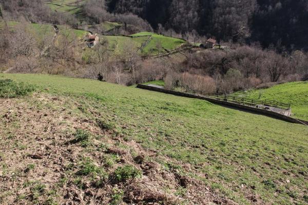 Finca rústica en camino cementerio, 2