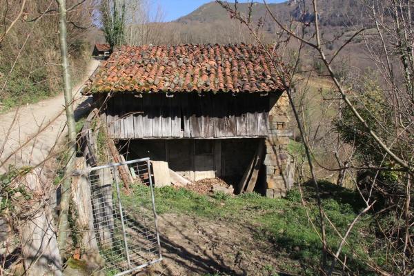 Finca rústica en camino cementerio, 2