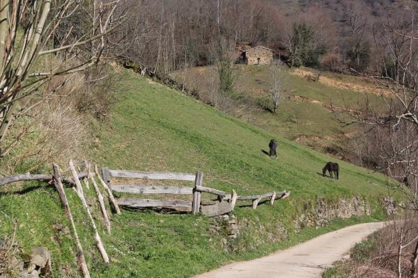 Finca rústica en camino cementerio, 2