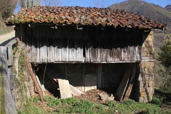 Finca rústica en camino cementerio, 2