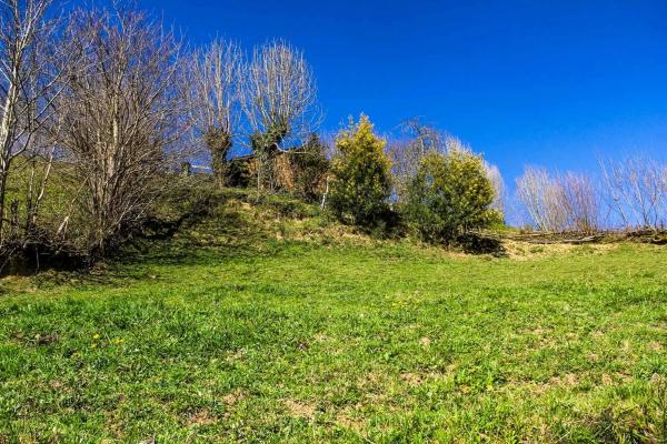 Finca rústica en camino cementerio, 2