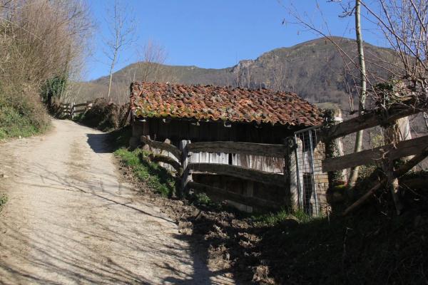 Finca rústica en camino cementerio, 2