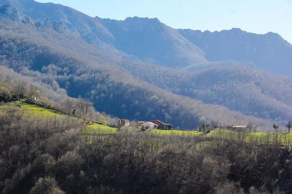 Finca rústica en camino cementerio, 2