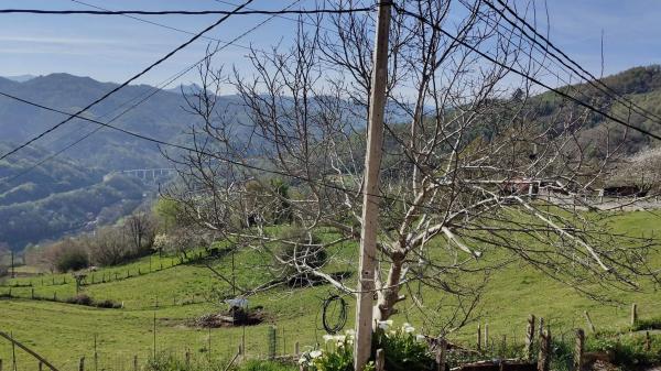 Casa de pueblo en Las Felechosas, 31 a