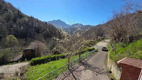 Casa independiente en quintana