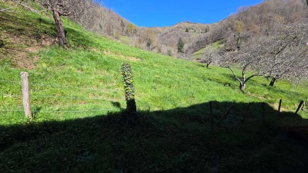 Casa independiente en quintana