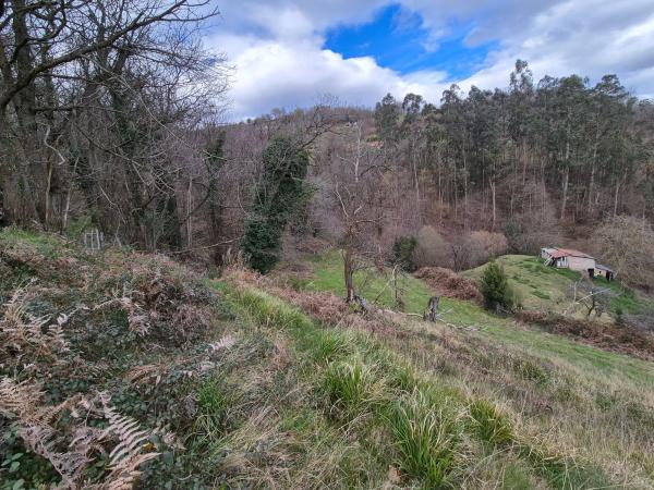 Casa independiente en El Madreñeru