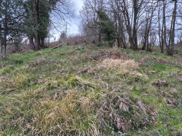 Casa independiente en El Madreñeru
