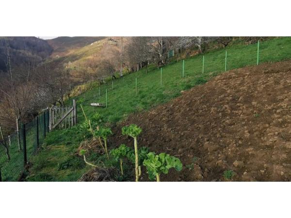 Finca rústica en As-252