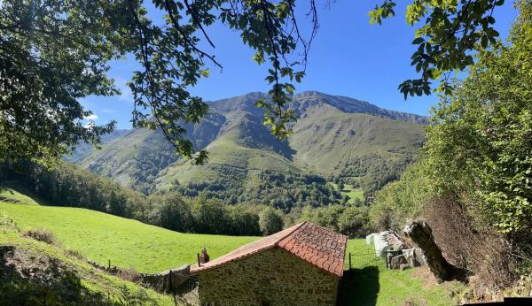 Finca rústica en Sin nombre s/n