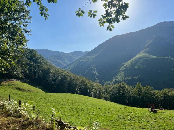 Finca rústica en Sin nombre s/n