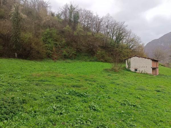 Finca rústica en Bezanes nucleo rural s/n Sn