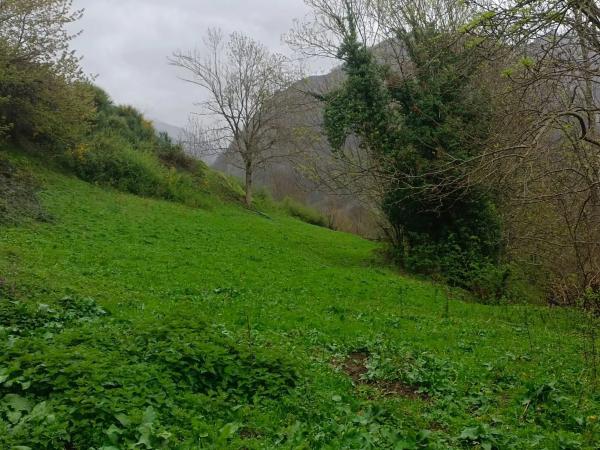 Finca rústica en Bezanes nucleo rural s/n Sn